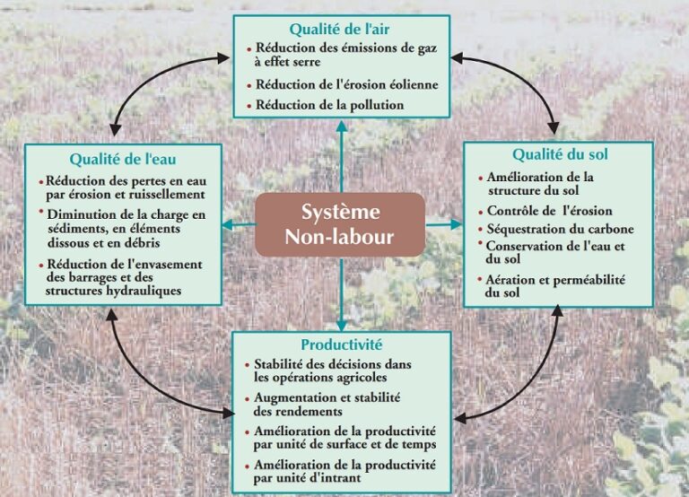 Conditions de la germination - Agronomie